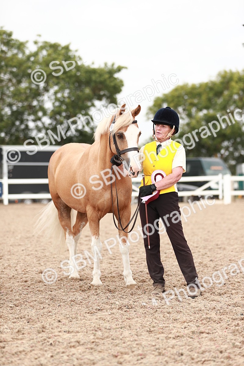 SBM_12565 - Class 207 IH M&M