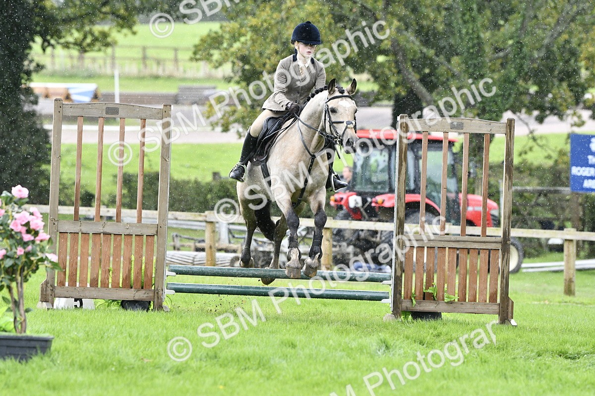 SBM_41437 - S32 - Mountain & Moorland Working Hunter Pony