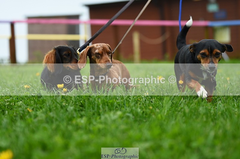 230505A-112822-03698 - Cls 21 Snr 1.20m Open