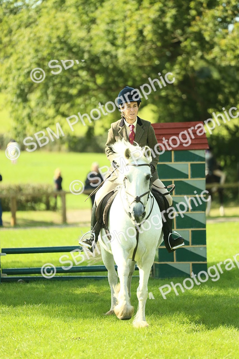 SBM_42000 - S29 - Novice & Newcomers Working Hunter Pony