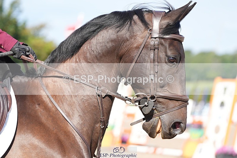 250802-093626-08365 - Cls 19 British Novice and 90cm Open