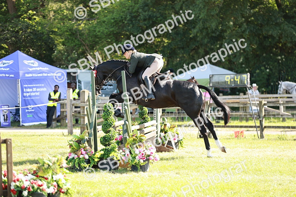 SBM_19197 - Class 115-116 - LIHS BSHA Rising Star Working Hunter & Show Horse