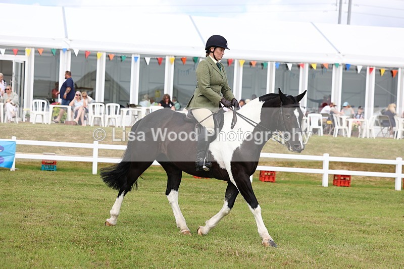 3E7A0322 - Class 6: Rising Star Maxi Cobs