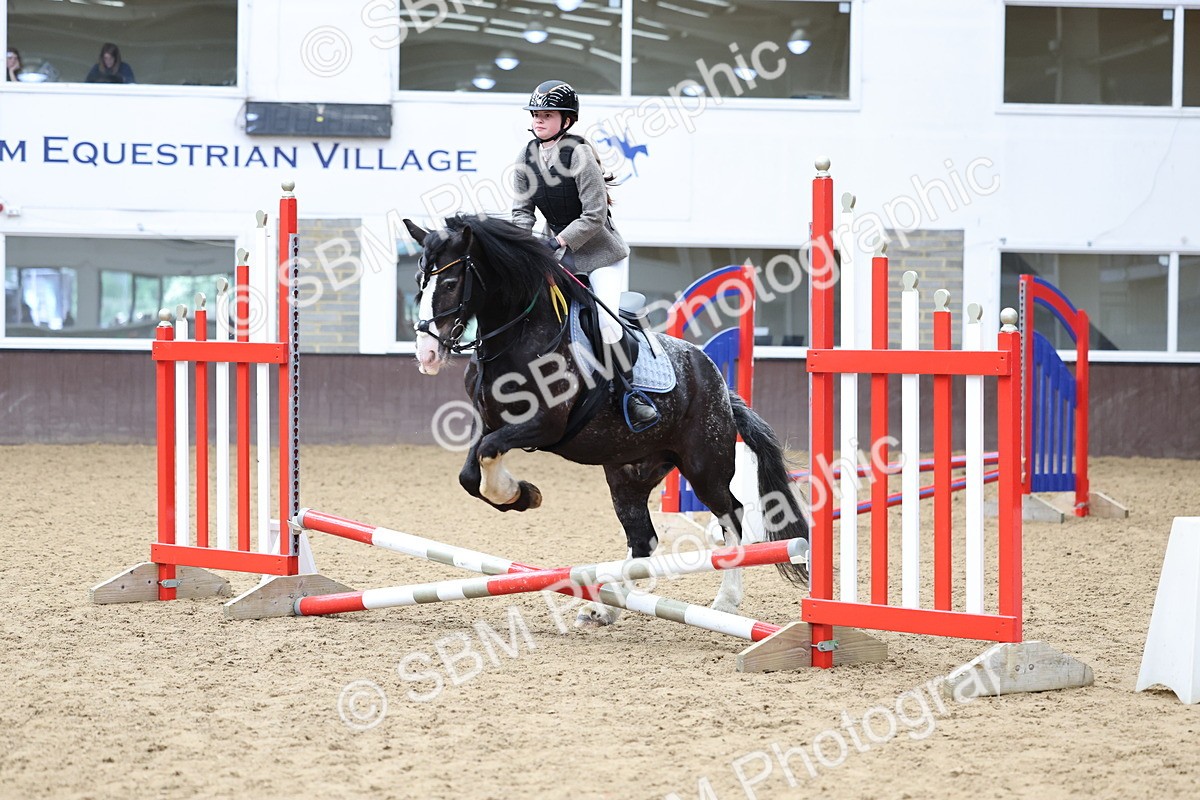 SBM_007369 - Class 2 - 50cm showjumping