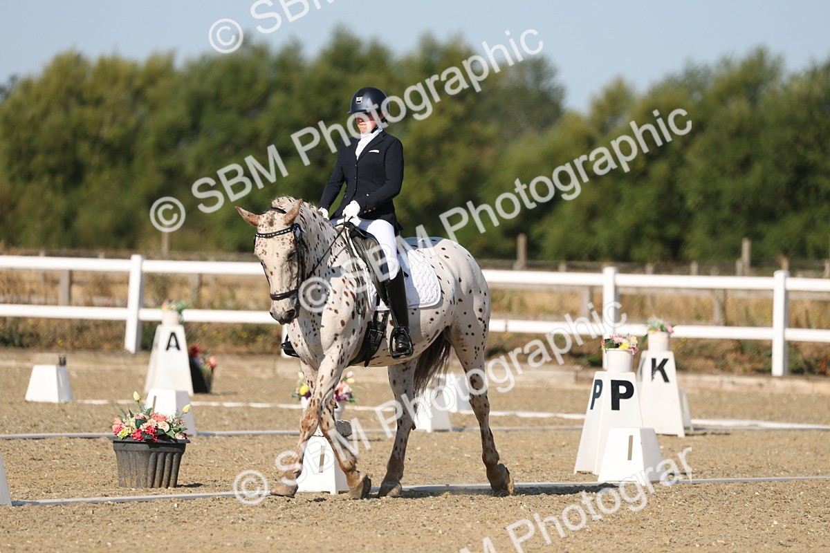 SBM_012671 - Class 1 - P5 Bronze 9.00.10.12