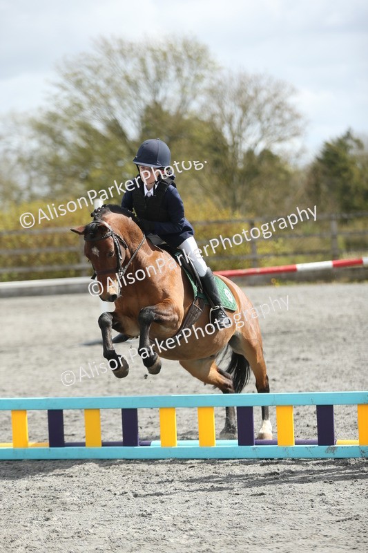 20260412-0757 - Show Jumping