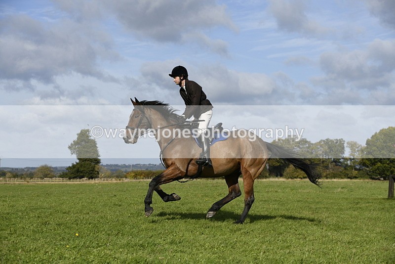 _DSC5749 - Time 10:49 to 11:23