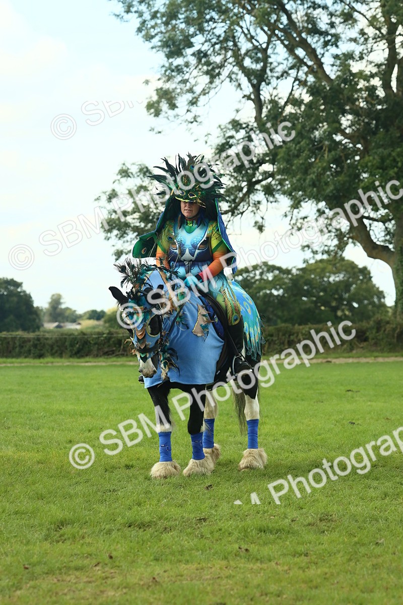SBM_63596 - S35 - Fancy Dress Showing