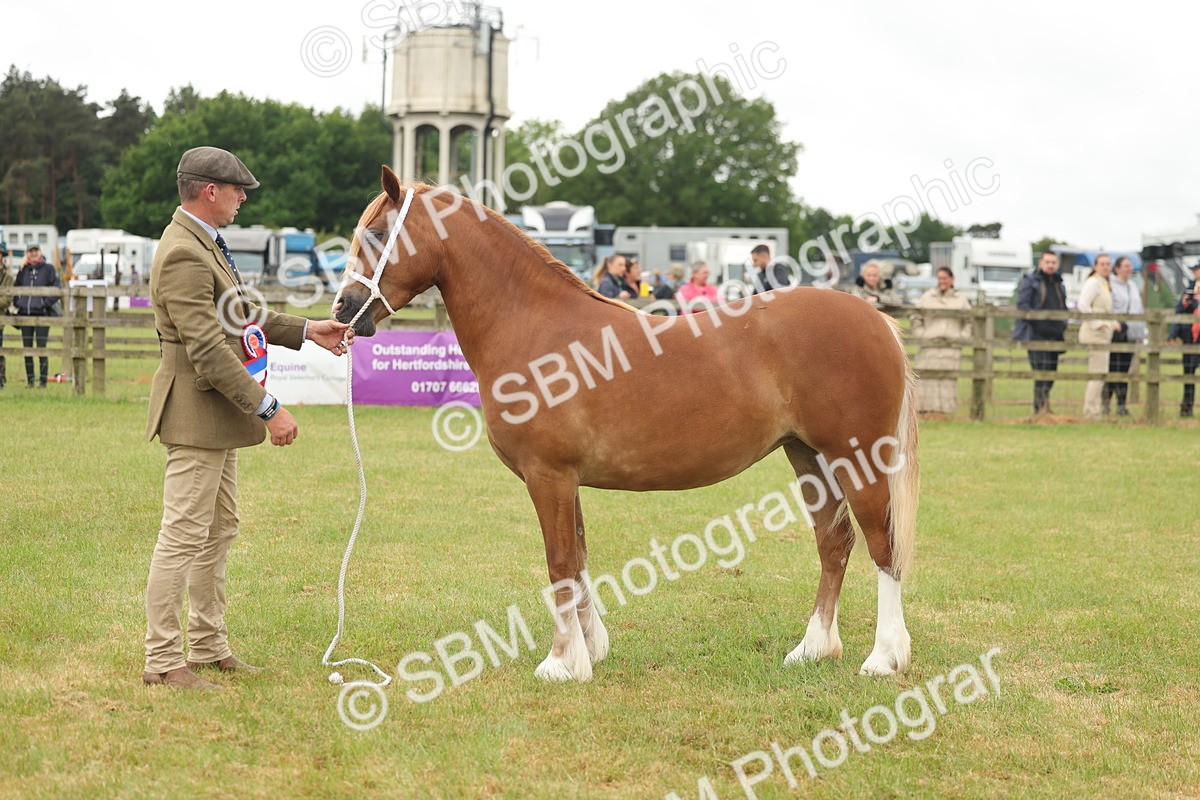 SBM_02448 - Class 50-57 - M&M Welsh Pony In Hand