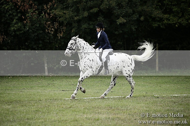 BVR080918 281 - BVRC Novice Dressage & CR 08/09/18