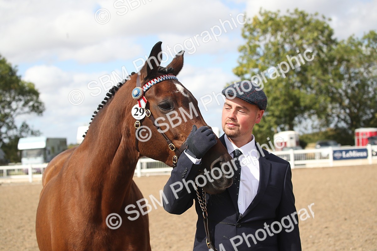 SBM_23455 - Class 604 - 2026 - Area IH Diamond