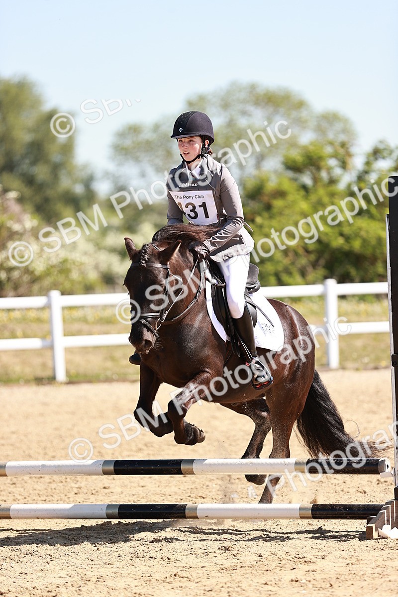 SBM_006978 - Class 2 - 50cm