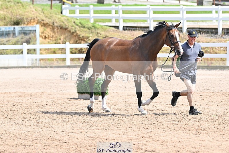 240717A-153500-02900 - Trot Up 3pm to 4pm