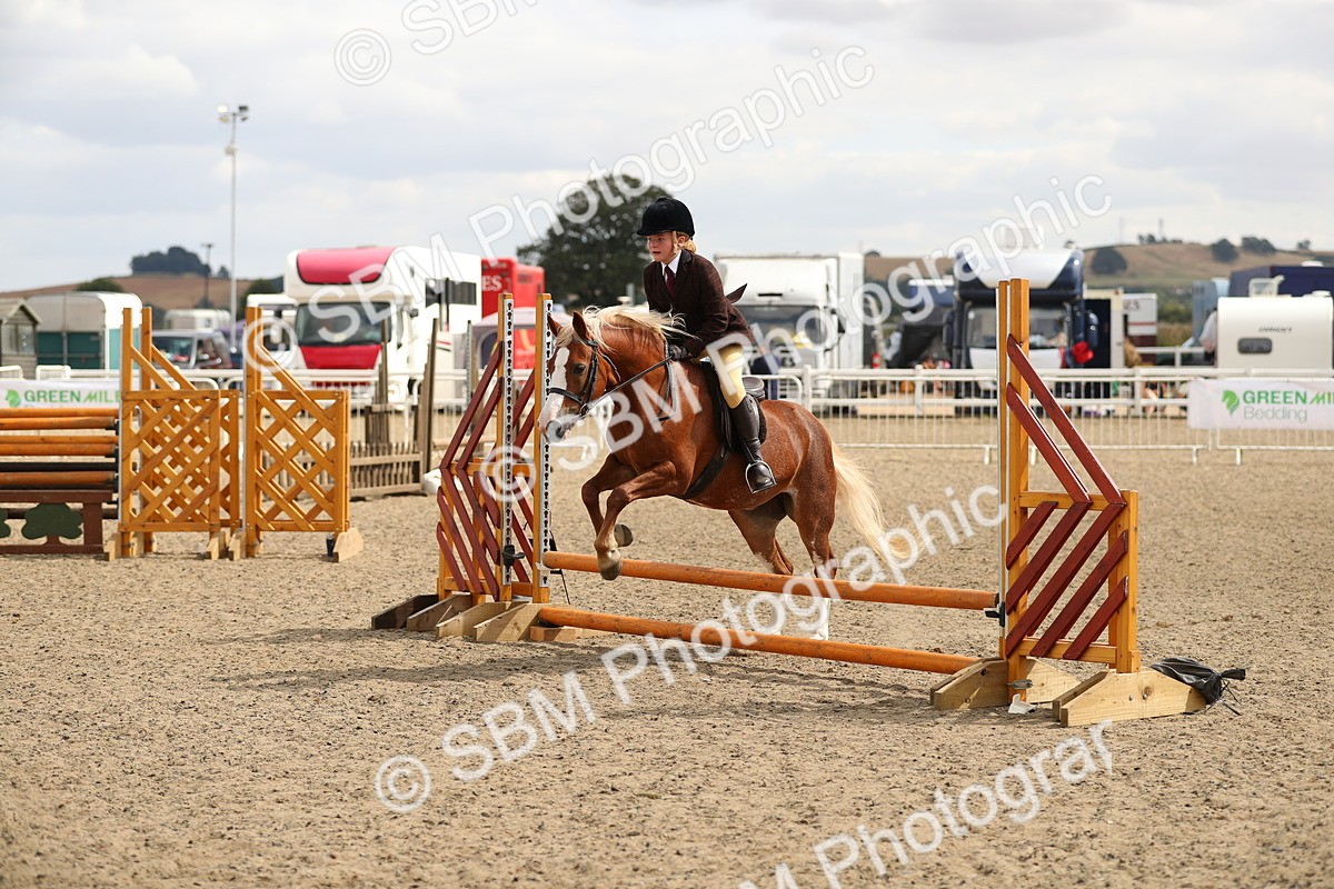 SBM_04736 - Class 46b Style & Performance 50cm (20+)