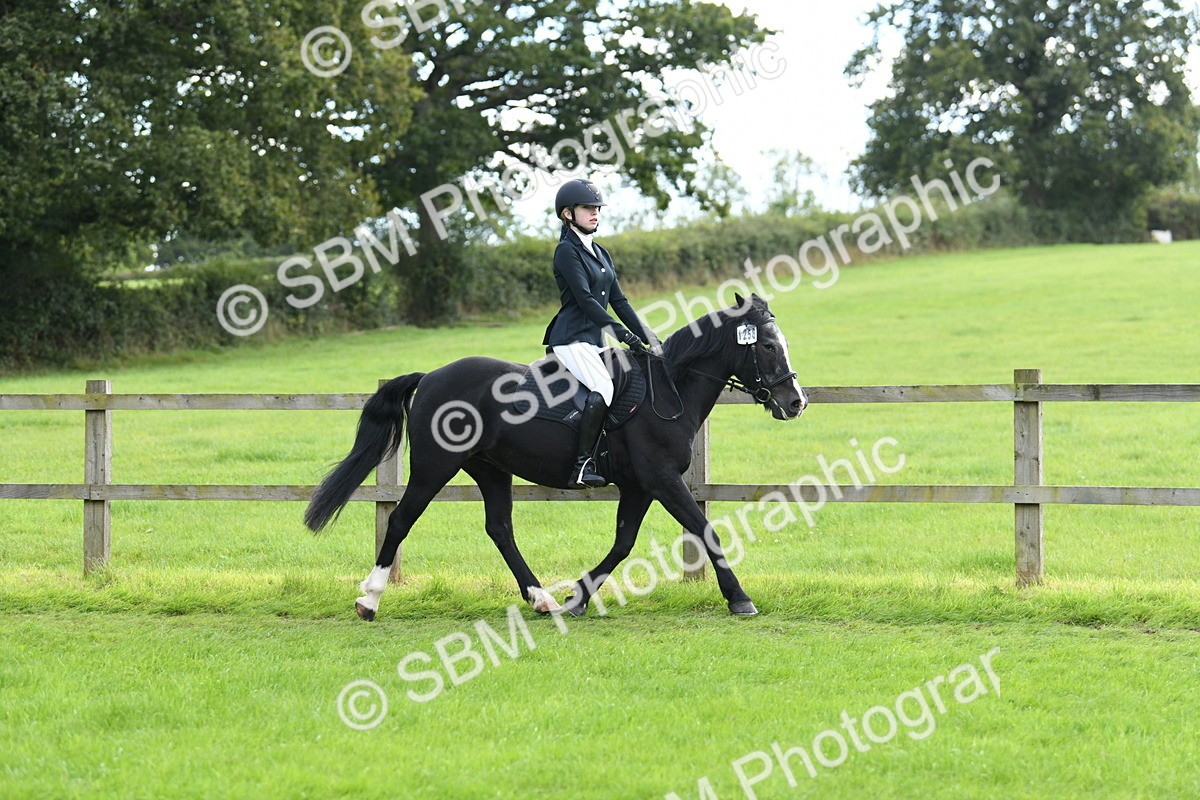 SBM_46757 - S12 - Family Horse & Pony