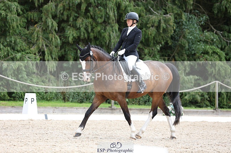 230813-151557-08014 - Cls 11 Elem Bronze 14.30 to End