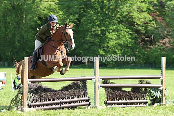 IMG_4894 - Working Hunter