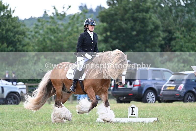 WJ7_6891 - Time 12:45 to 13:01