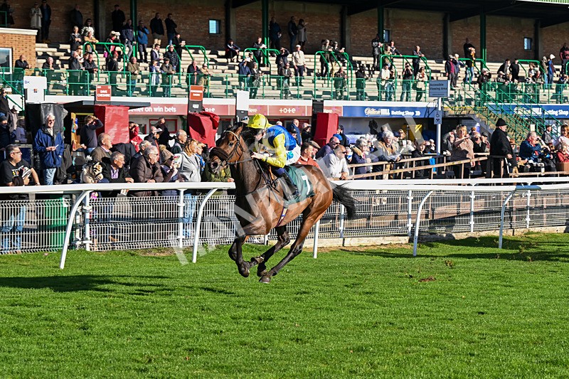 291024-Race 3-Kings Scholar-5931 - Race 3