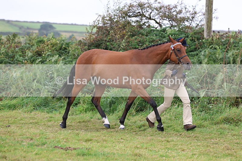 3E7A4340 - Class 15: Three Year Olds