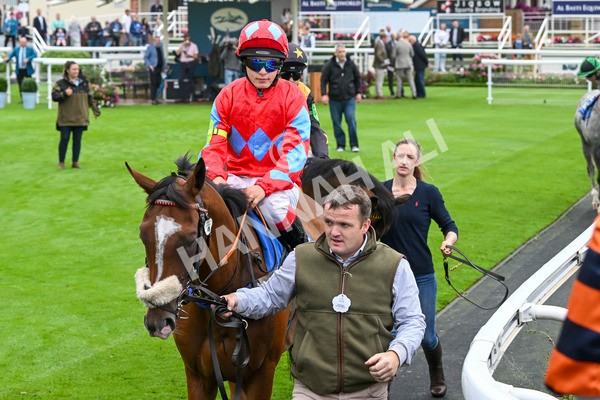 080924-Pony Race-8423 - Pony Race 1.00pm The Dragon (TV and Film) Studios Pony Race 148cm & Under