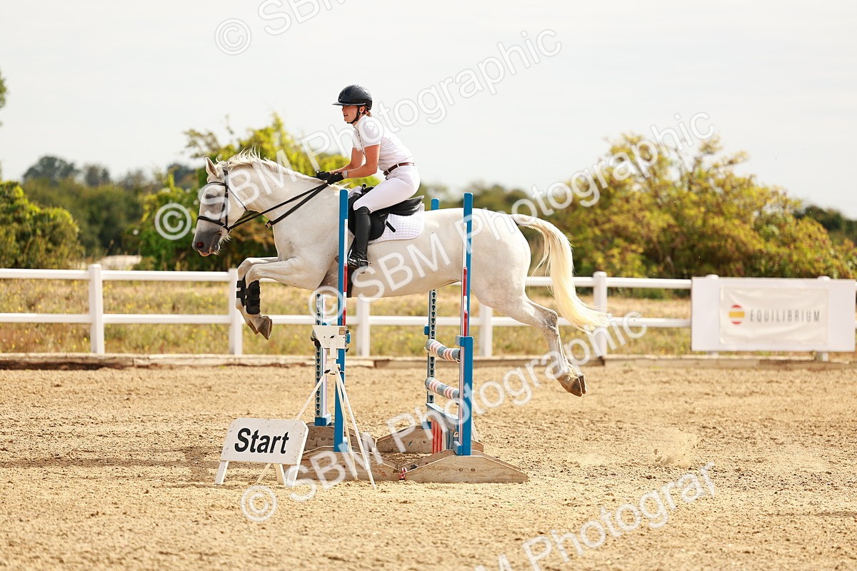 SBM_002133 - Class 9 - Senior British Novice - 90cm
