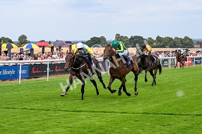 280726-Race 4-Vega King-0946 - Race 4 15.20pm 30 Years Of The Hurn Racing Club EBF Novice Stakes