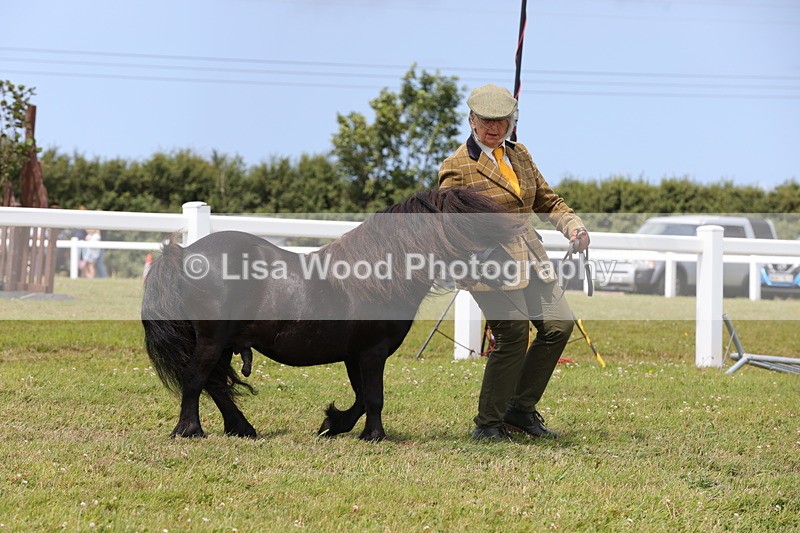 1X9A4763 - Class 35: Veteran In Hand