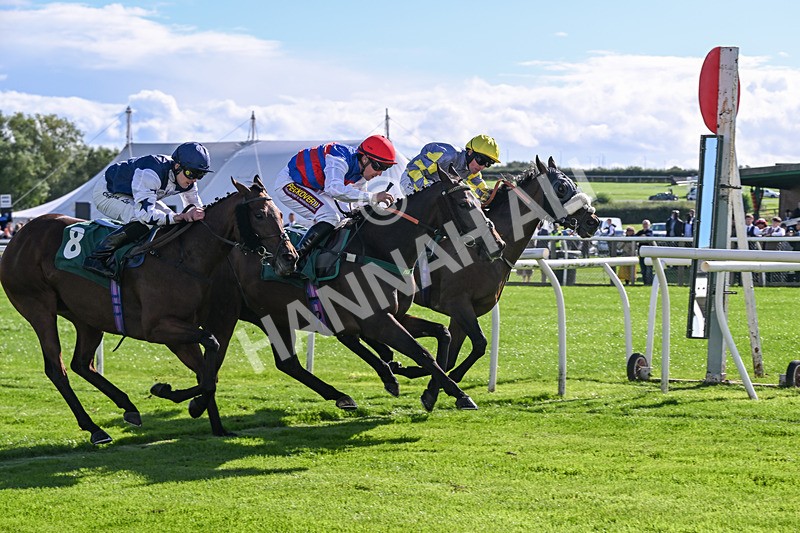 080926-Race 4-Kings Merchant-2523 - Race 4 3.36pm Fifth Regiment Royal Artillery Handicap (Div II)