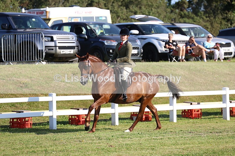 3E7A5068 - Class 1: Rising Star Small Hack/Riding Horses