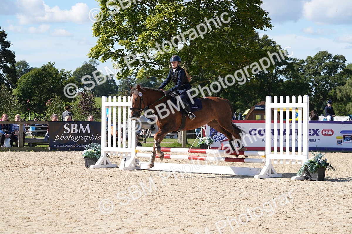 SBM_38736 - J21 - Junior Horse 60cm Championship