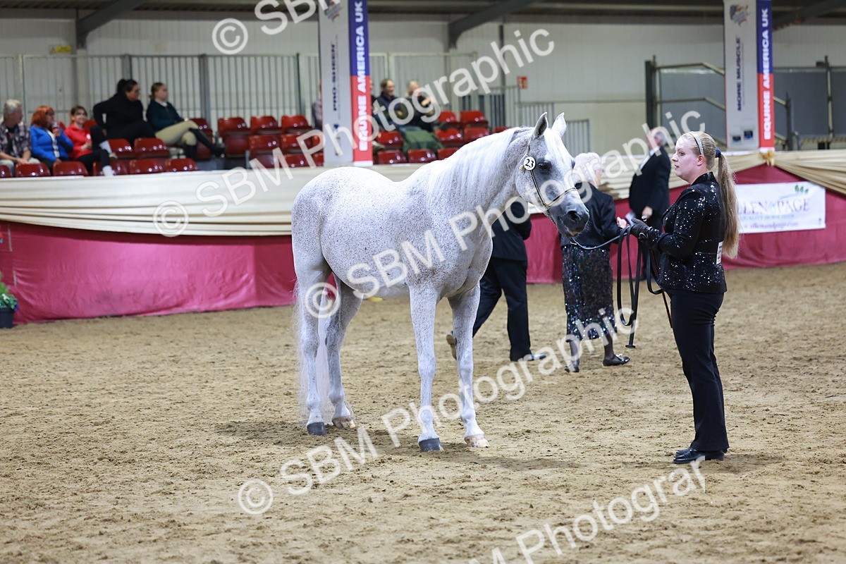 SBM_21224 - Class R - Veteran Champ