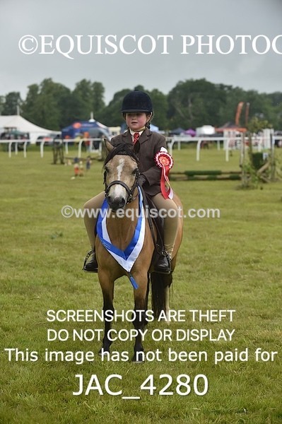 JAC_4280 - WORKING HUNTER CHAMPIONSHIP