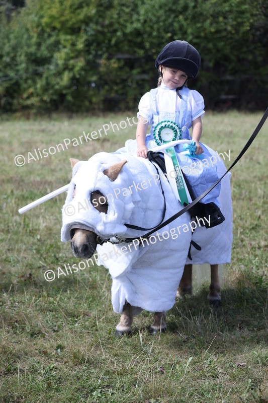 20250831-4482 - Class 26 - Fancy Dress