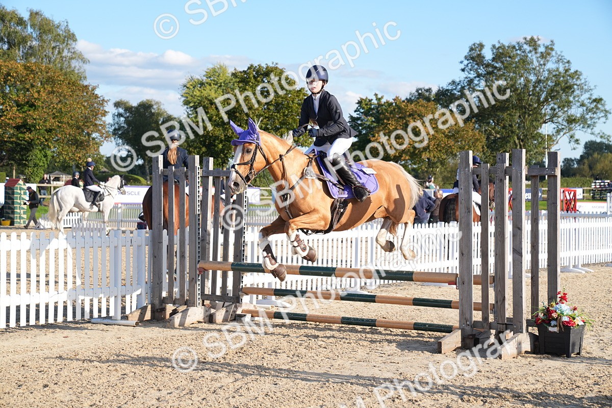 SBM_29877 - J44 - Super Speedy Scurry Open - 70cm