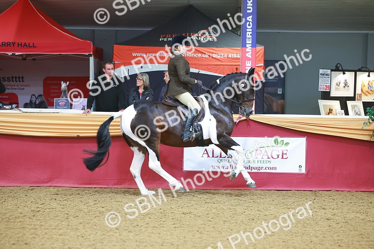 SBM_09645 - Class 102 - HOYS Veteran Qualifier - Ridden Veteran