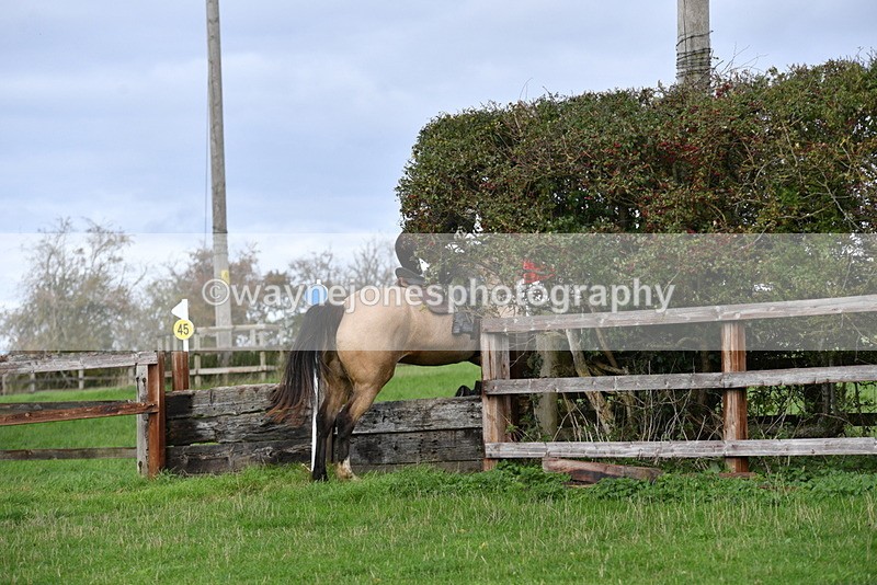 WJ5_0863 - Time 14:29 to 15:31