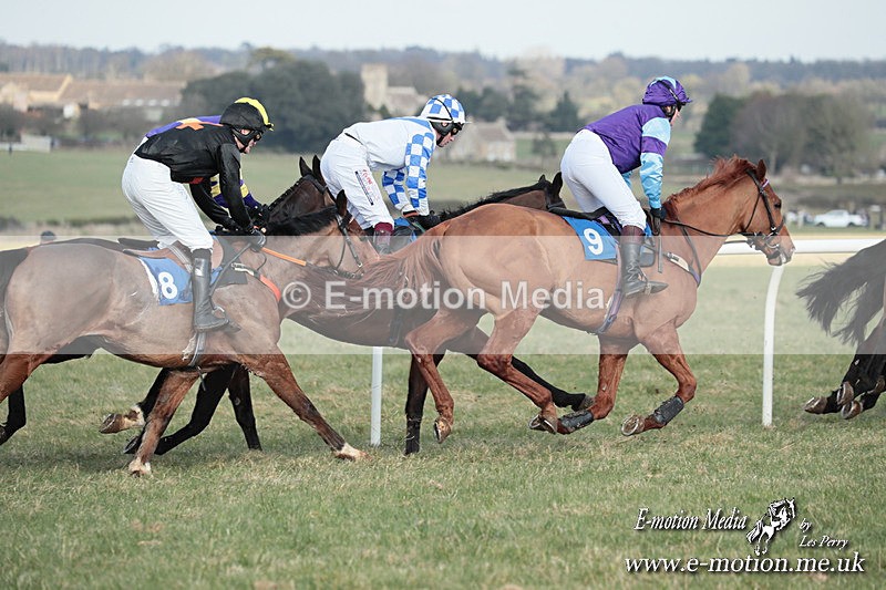 PtP 010325 474 - Beaufort Races Didmarton 01/03/25