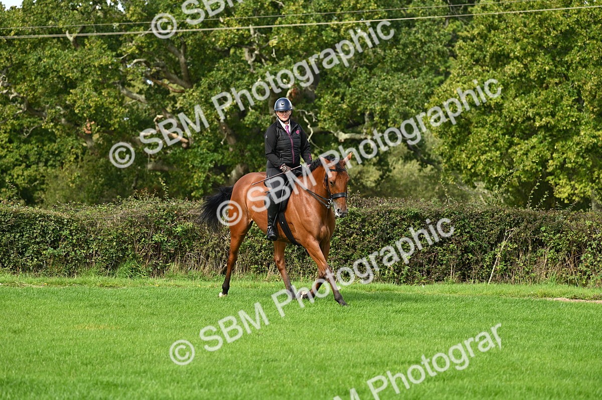 SBM_01961 - S2 - TSR Ridden Horse Showing