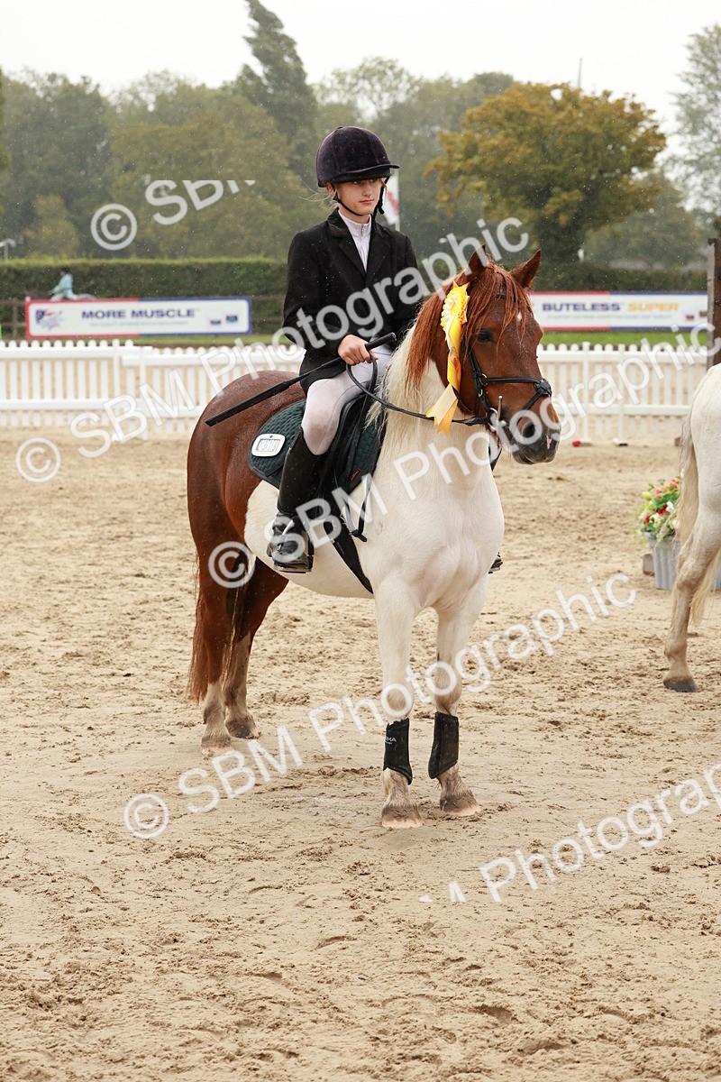 SBM_72310 - J14 - Junior Pony 65cm Championship