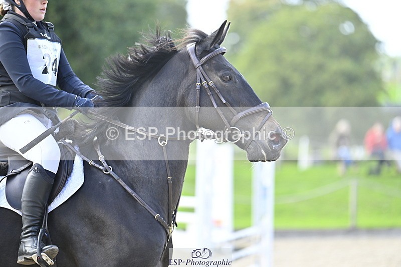 251005A-152717-04710 - Cls 10 Int 90-95cm