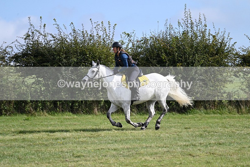 WJ7_6195 - Time 11:29 to 11:45