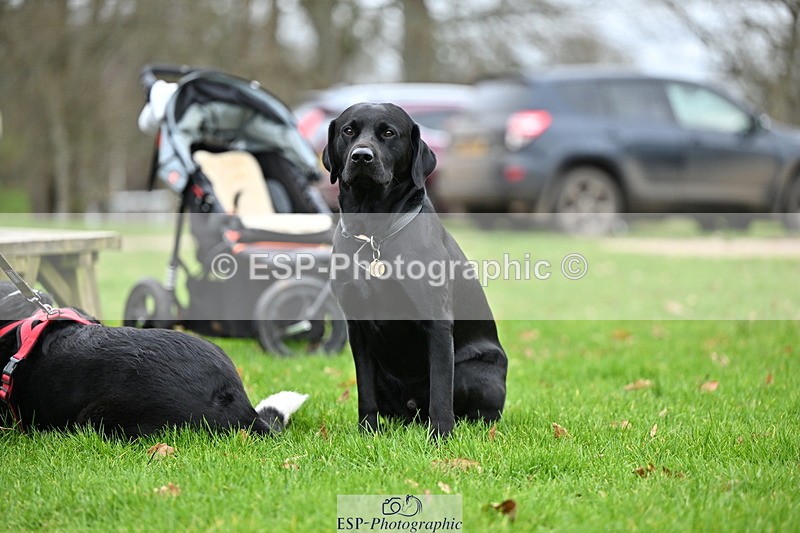 250201A-105833-00306 - Cls 02 Local Horse 100cm