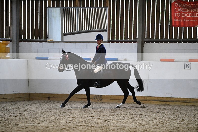 WJ5_7848 - Class 13 Ridden Part Breed