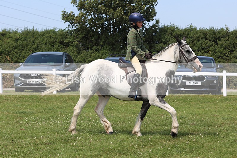 JPP_3220 - Class 22: Working Hunter 70cm