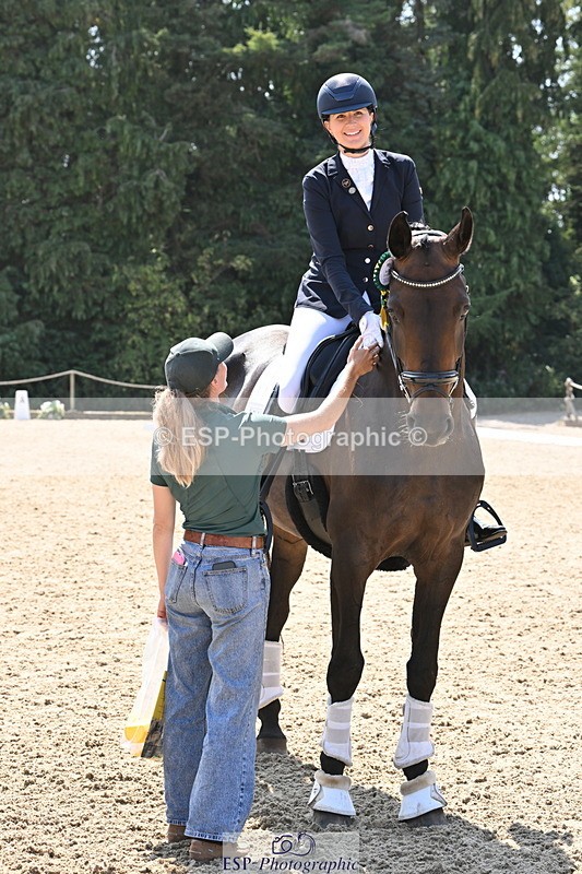 250810A-132520-06577 - Medium SILVER Presentations