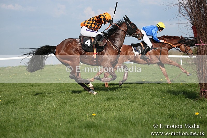 PtP 210418 546 - South & West Wilts Point-to-Point Larkhill 21/04/18