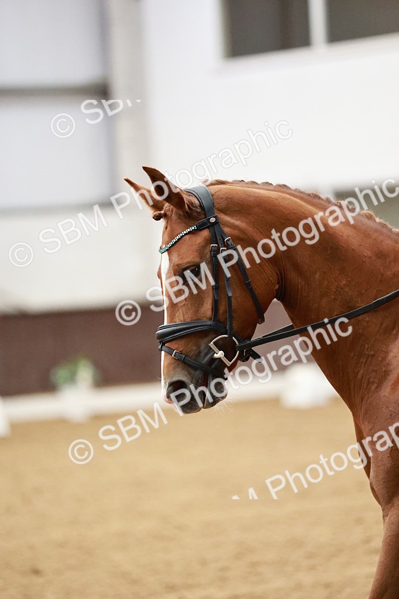 SBM_000015 - Class 1 - Prelim 6 Gold - 10.00-11.10