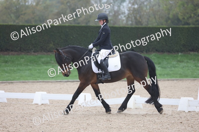 20251012-0514 - Class 4 - Novice 6