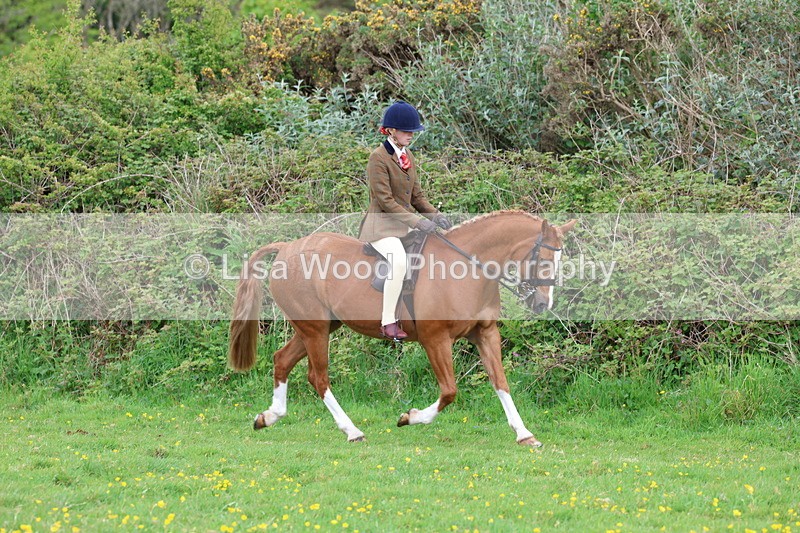 3E7A1403 - Class 8: Ridden Veteran Junoir and Senior